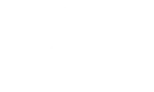 w-5-AOS