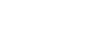 w-9-bicsi